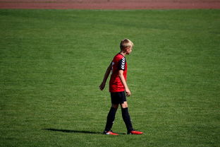 NBA球员训练方法创新，nba球员训练视频,篮球技术