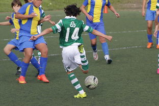 体育纪录片内容更加丰富，体育纪录片主题